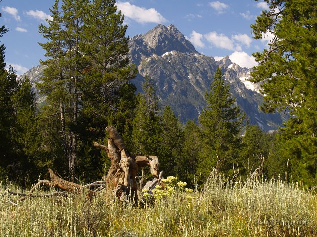_7173131.JPG - Can you spot our marmot friend?