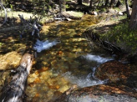 Middle Rafferty Creek.