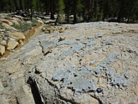 An awesome quartz dike that was exposed through glaciation, I would assume.  The quartz was glacially polished.