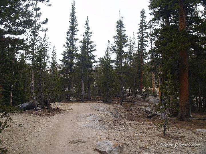 20090929_wildlink_0012.JPG - I started cross-country not realizing that there is quite a nice, unmantained trail leading up the right-side of Budd Creek that splits off the Cathedral Lakes Trail.