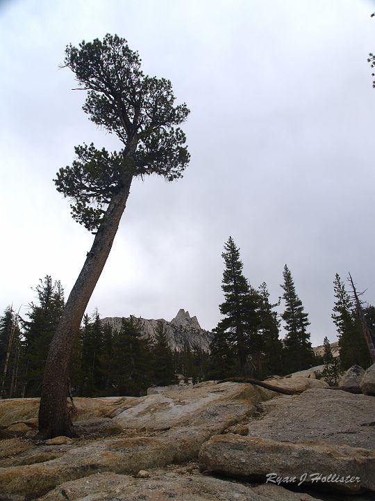 20090929_wildlink_0013.JPG - It's easy to see there was a storm a'brewin'.
