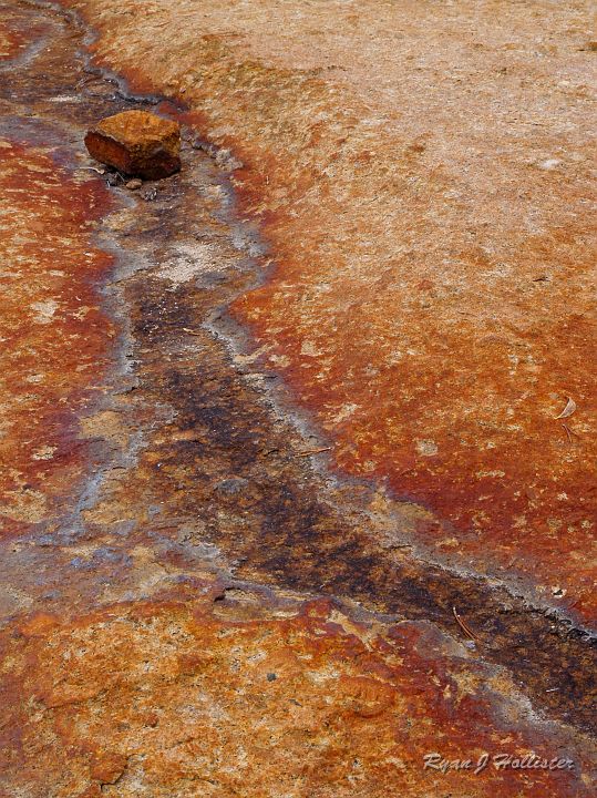 20090929_wildlink_0037.JPG - I enjoyed the rusty stains on the Cathedral Peak granodiorite.