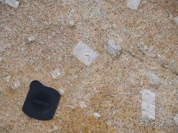 20090929_wildlink_0055.JPG - Geology time!  These are some of the biggest phenocrysts (crystals way larger than those which surround it) of feldspar that I have ever seen.  Lens cap is 3.5" for scale.