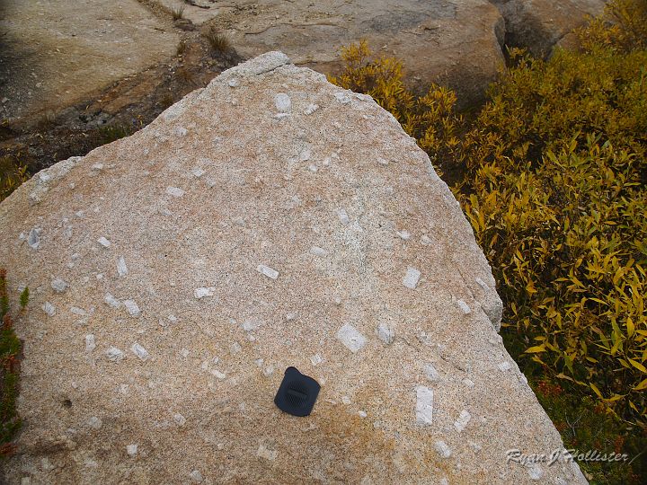 20090929_wildlink_0056.JPG - Wide-angle of the feldspar phenocrysts inteh Cathedral Peak Granodiorite (~86myo).