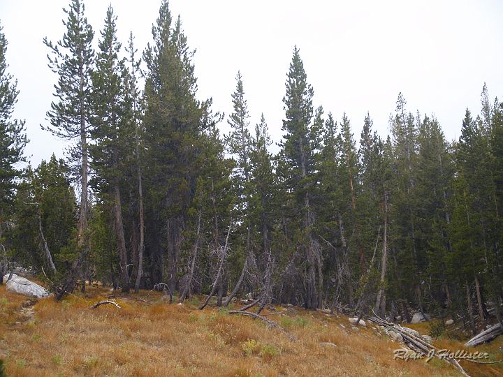 20090929_wildlink_0058.JPG - Hard to tell from the pic, but it was actually snowing here!