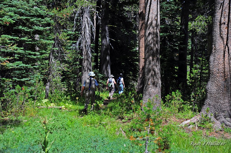 RJH_5170.JPG - The start of our trial was fairly flat and meandered along the park boundary.