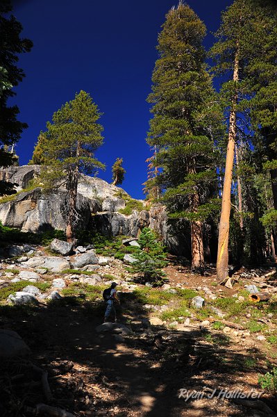RJH_5183.JPG - Gorgeous day along the trail. I do believe the trees are a type of fir.