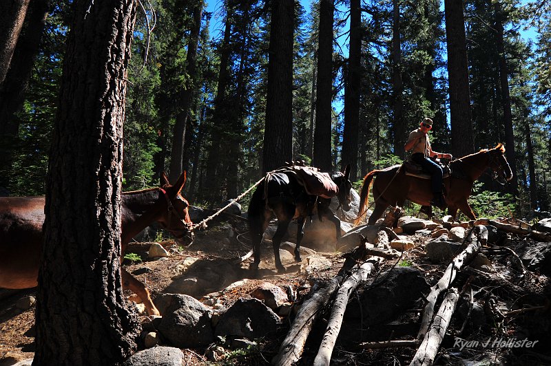 RJH_5186.JPG - We ran across a wilderness ranger with his friends.