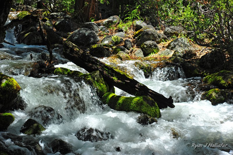 RJH_2473.JPG - On this day, Kibbie Creek seemed like a miniature Eden, of sorts.