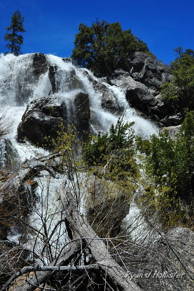 RJH_2494.JPG - Another angle.
