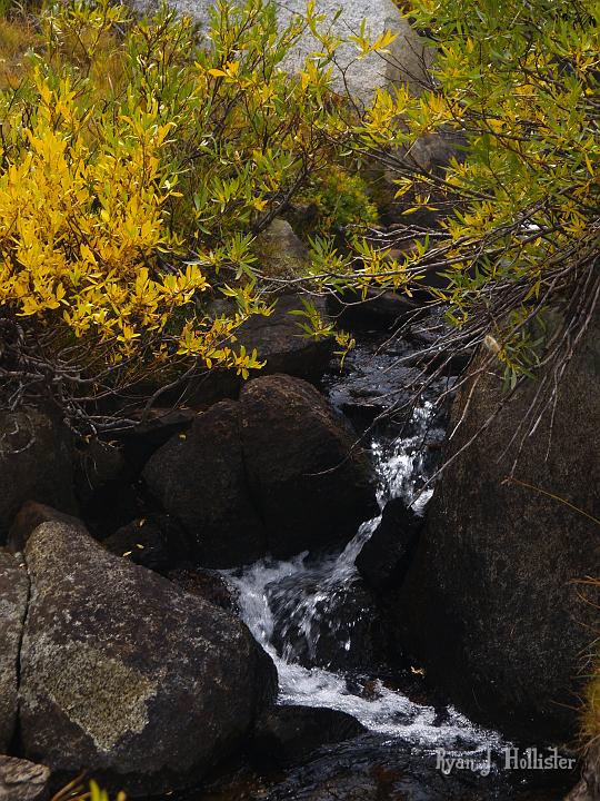 20090919_kuna_lake_0415.JPG - I love fall colors and running water.  There's just something special about it.