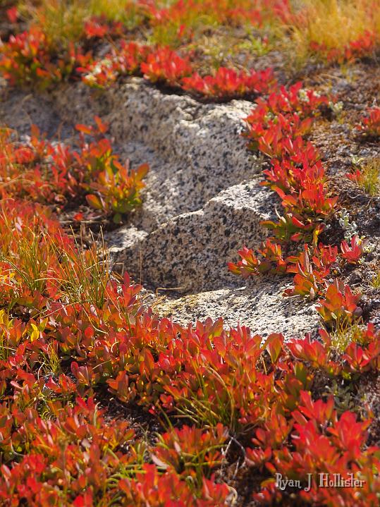 20090919_kuna_lake_0442.JPG - I think this photo wins the "Favorite of the Trip" award.