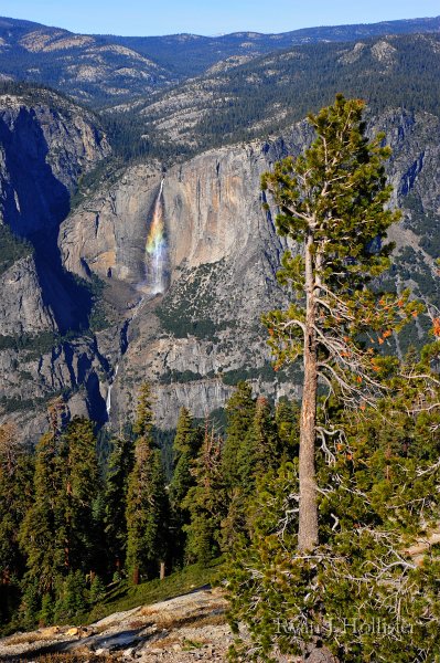 RJH_6289.JPG - (Yosemite) Wonka Falls.