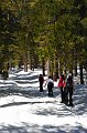 RJH_1537