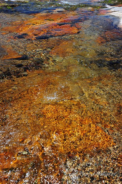 RJH_1646.JPG - If it had been warmer, I mit have considered lying down in this stream.