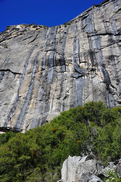 RJH_1688.JPG - Streaky!