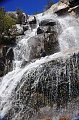 RJH_1604