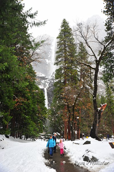 RJH_1433.JPG - Upper & Lower Yosemite Falls (sort-of)