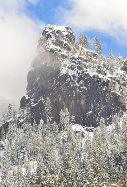 RJH_1455.JPG - Tree climbers.