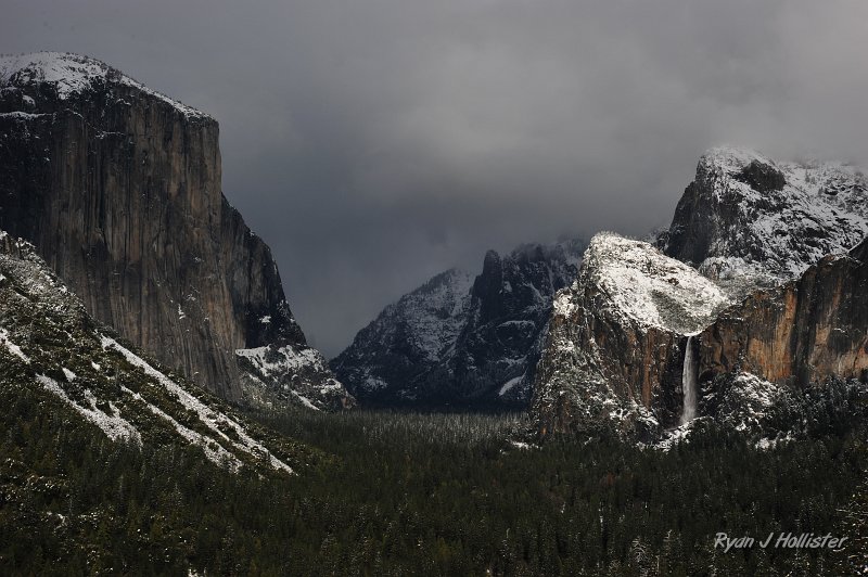 RJH_1479.JPG - Brooding...