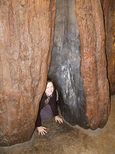 _1200230.JPG - Mrs. H getting jiggy with a giant sequoia.