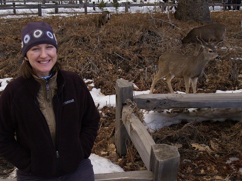 _1200263.JPG - Mrs H was living Bambi.