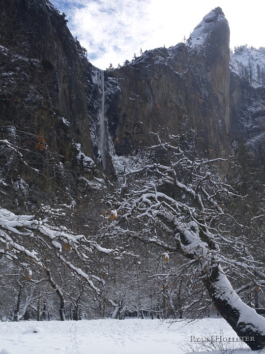 _C235954.JPG - Bridalveil Falls again...
