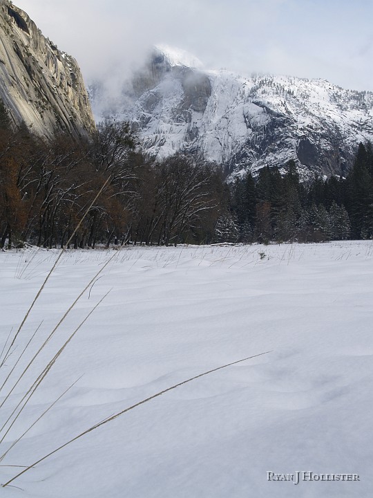 _C235971.JPG - Half Dome wanted to peek out, but I couldn't quite figure out what to do with the foreground grass.