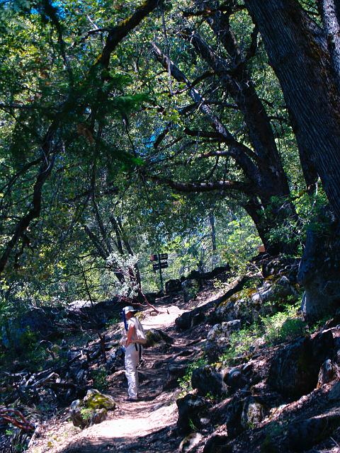 _6012354.JPG - This view looks straight-up at the junction where human & horse trails collide.   The human trail is too narrow & steep for pack animals.