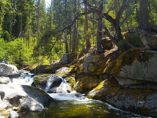 _6012373.JPG - There were 10 to 15 little wild rainbow trout in this hole, but our lack of stealth equaled a lack of fish for us.