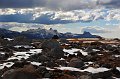 RJH_6406