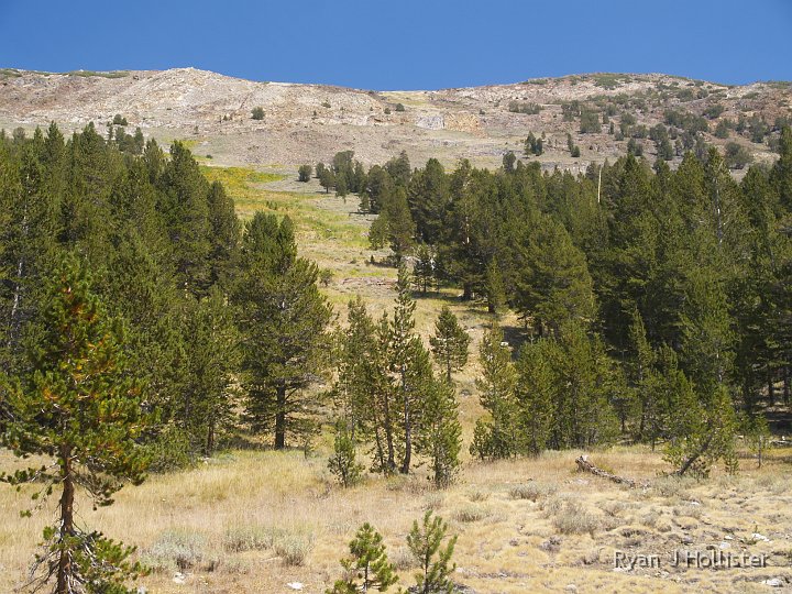 _9064827.JPG - One of my favorite spots on the trail is this avalance chute.