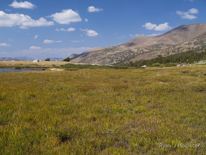 _9064847.JPG - I can't describe the mushy, spongy, springy feeling that walking over this grass & soil produces while hiking around Spillway.
