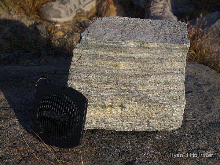 _9064939.JPG - A gneiss scale.