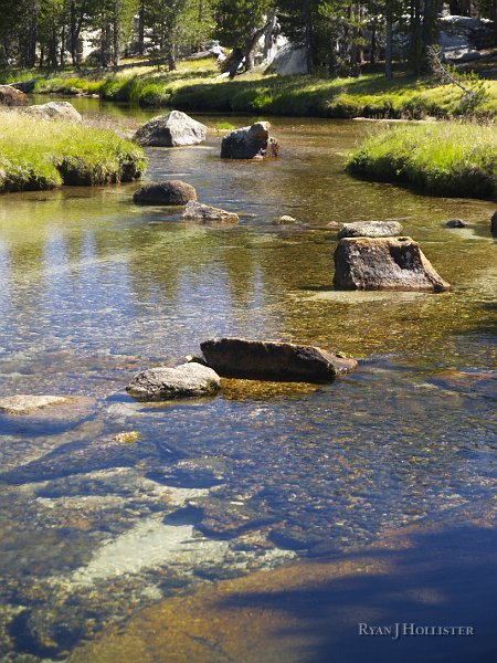 _8094660.JPG - Ahhh....