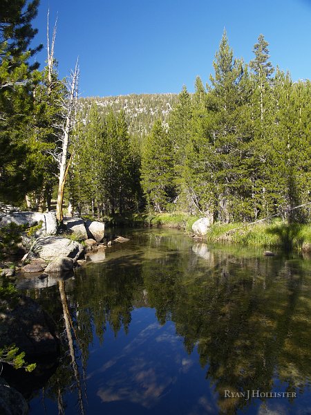 _8094720.JPG - Still relaxing as always.