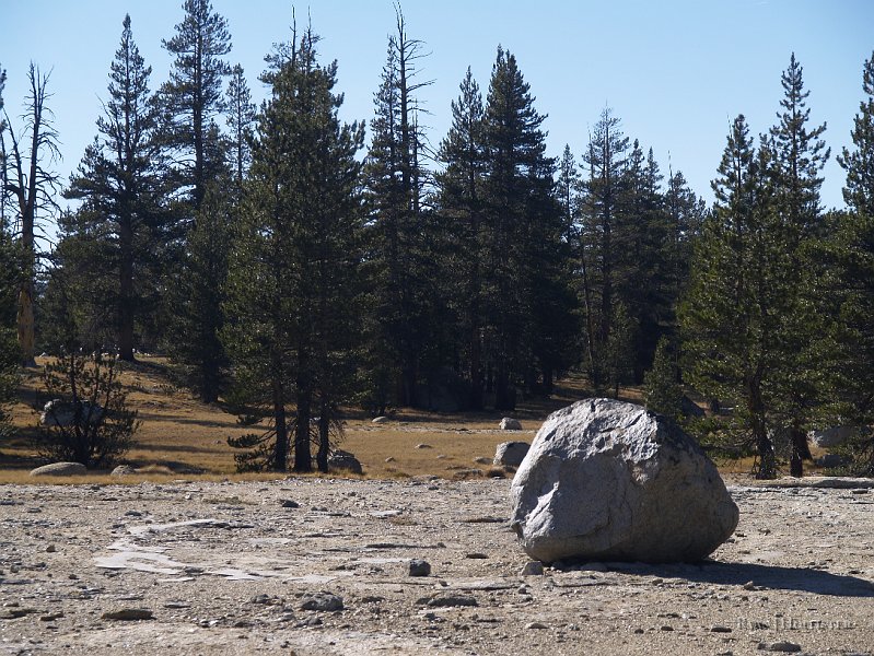 _8094729.JPG - Glacial erratic next to some polish.