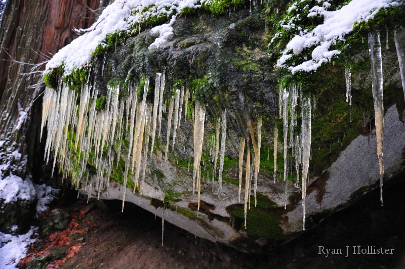 RJH_7442.JPG - Icicles cling to another remnant of an old rock fall.