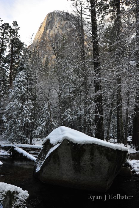 RJH_7449.JPG - Tenaya Creek, a large rock fall boulder and Washington Column.