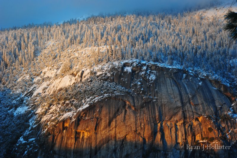RJH_7491.JPG - What a sight!