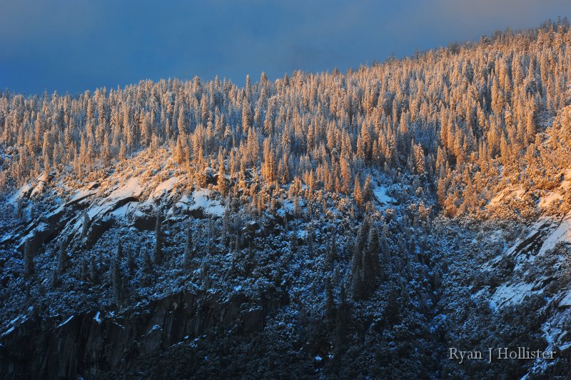 RJH_7498.JPG - Nice gradation of colors.
