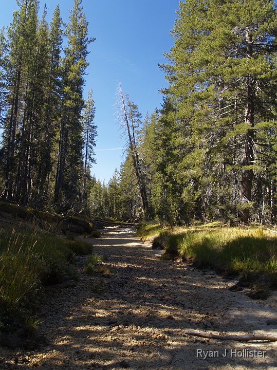 _9235175.JPG - This is what was left of Tenaya Creek.  A dismal sign for valley residents who depend on this water for their livelihoods.