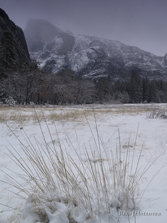 _C145904.JPG - Ahwahnee Meadow