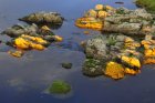 Up next is a series of ephemeral streams that were awesomely illuminated by the setting sun.