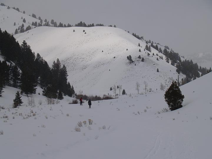 _3271402.JPG