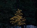 20080214_liz_0865