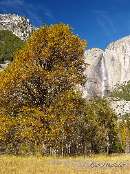 20091026_wildLink_Oct09_0300.JPG - Yosemite Falls