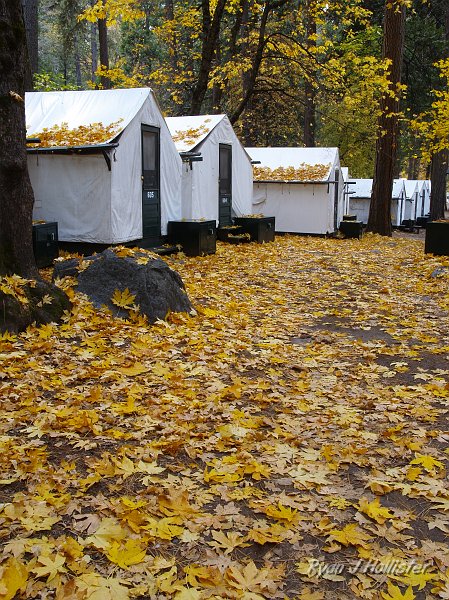 20091026_wildLink_Oct09_0331.JPG - Curry's fall foliage