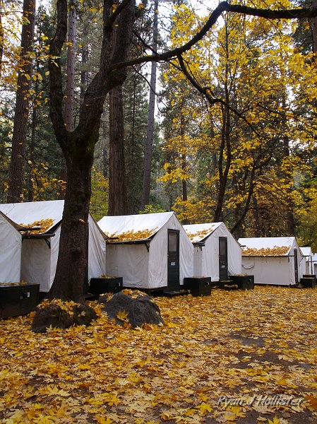 20091026_wildLink_Oct09_0332.JPG - Curry's fall foliage