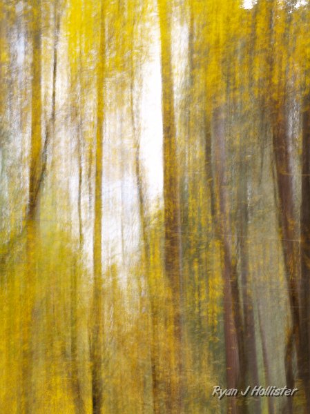 20091026_wildLink_Oct09_0343.JPG - My favorite accident ever.